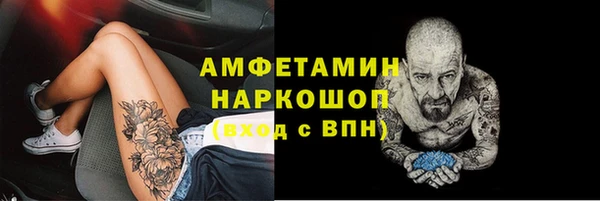 спайс Корсаков