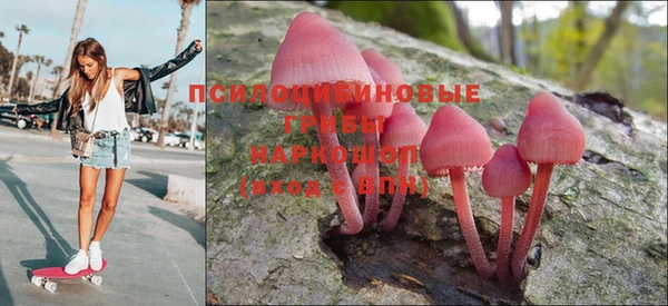 МДПВ Костерёво