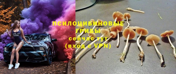 спайс Корсаков