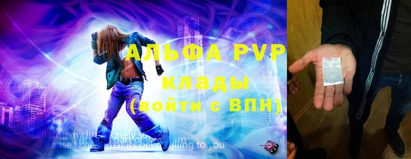 спайс Корсаков