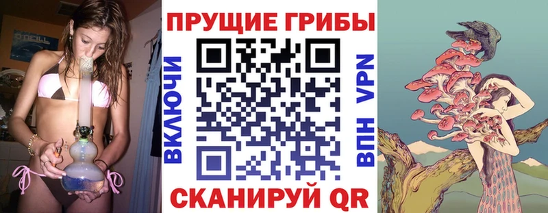 Купить закладки  Касли  Галлюциногенные грибы прущие грибы 